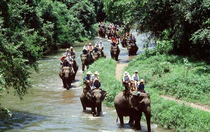 gallery-bali-elephant-safari-01